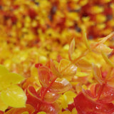KIT 5 pz Follaje Artificial Naranja Muro Exterior 60x40 Decorativo