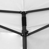 Toldo Carpa 6x3 Metros Paredes Impermeable Contra Rayos Uv