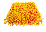 KIT 20 pz Follaje Artificial Naranja Muro Exterior 60x40 Decorativo