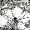 Arbol Navidad Nevado Premium 1.9m Pino Navideño Copos Nieve