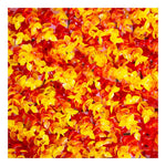 KIT 5 pz Follaje Artificial Naranja Muro Exterior 60x40 Decorativo